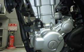 YAMAHA WR250X 2009 DG15J