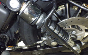 HARLEY XL883N 2013