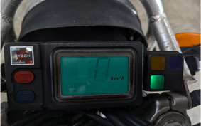 YAMAHA TT250RRAID 4GY