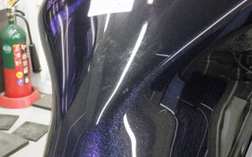 KAWASAKI NINJA 1100SX 2025 ZXT10H