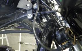 OTHER +HD. XL1200X 2019