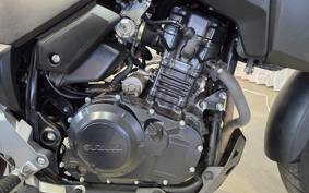 SUZUKI STROM 250 DS11A