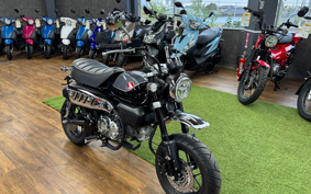 HONDA  MONKEY 125 JB03