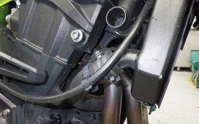 KAWASAKI Z900 Gen.2 2020 ZR900B