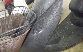 HONDA DIO Gen.6 AF62