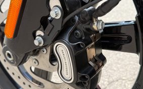 HARLEY FXBBS 2024 YYK