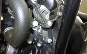 YAMAHA MT-09 2014 RN34J