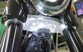 HARLEY FLSB 1750 2020