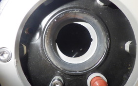 TRIUMPH DAYTONA 660 2024