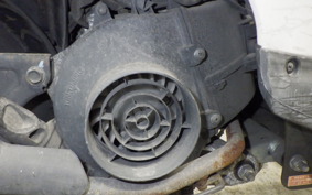 HONDA TODAY 2019 AF61