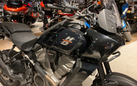 HARLEY  HARLEY  PAN  AMERICA 1250 2022 ZDS