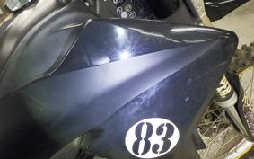 YAMAHA WR250X DG15J