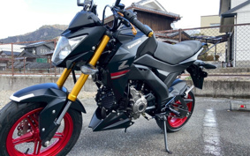 KAWASAKI Z125 PRO BR125H