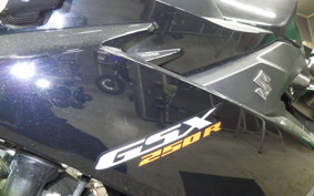 SUZUKI GSX250R 2003