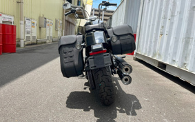 HARLEY FXST1340-1450 2023 BVJ