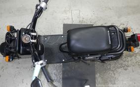 HONDA ZOOMER 2017 AF58