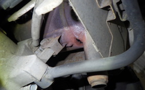 HONDA GYRO X 2024 TD01