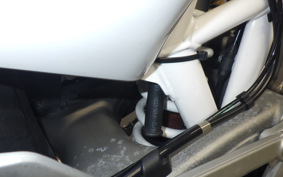 HUSQVARNA 701ED 2019