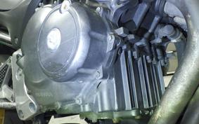 HONDA HORNET 250 MC31