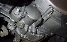 SUZUKI GEMMA 250