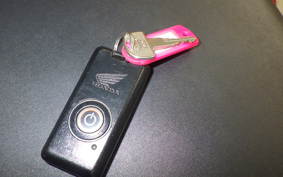 HONDA FORZA Z GEN 2 2024 MF10