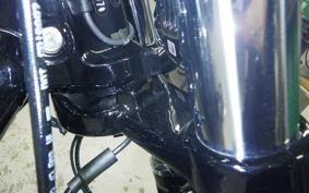 HARLEY FXBR1920 2025