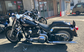 HARLEY HARLEY FLSTF1340-1450 2001 BMY