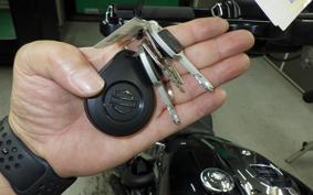 HARLEY FXBR1920 2024