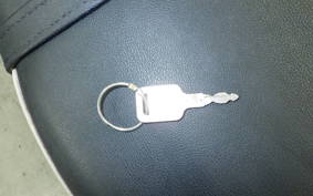 KAWASAKI ESTRELLA RS 2018 BJ250A