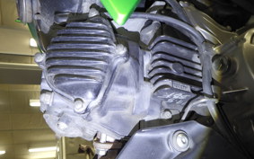 KAWASAKI Z125 PRO 2013 BR125H