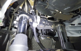SUZUKI GSX250 R 2020