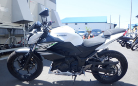 KAWASAKI Z250 ER250C