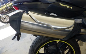 TRIUMPH TIGER1050(ショルイ