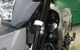 KAWASAKI KLX230 SM 2021 LX232A