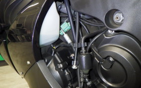 KAWASAKI ZZ1400 NINJA R 2010 ZXT40C