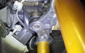 YAMAHA YZF-R15 2006 RG86J