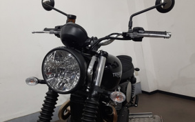 TRIUMPH SCRAMBLER 2025 D5BG25