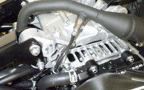 YAMAHA CYGNUSｸﾞﾘﾌｧｽ SEJ4J