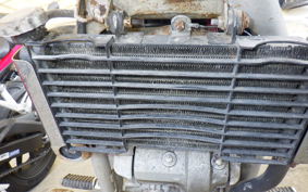 HONDA MAGNA 250 2024 MC29