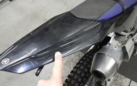 YAMAHA WR250R 2025 DG15J