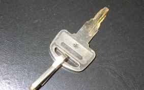 HONDA GYRO CANOPY 2024 TA03