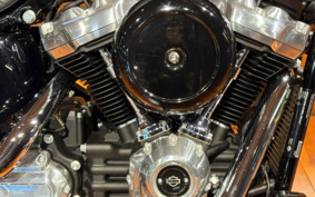 HARLEY FXST1340-1450 2024 BVJ