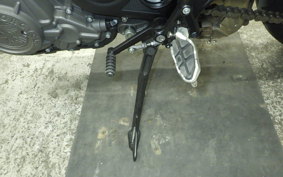 INDIAN FTR1200 carbon 2023