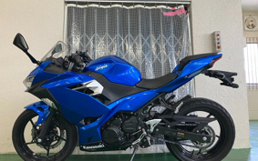 KAWASAKI NINJA 250 EX250P