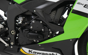 KAWASAKI NINJA ZX-6R KRT 2025 ZX636J