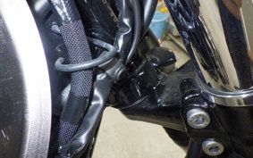 KAWASAKI W800 2024 EJ800E