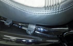 HARLEY XL1200XS 2019