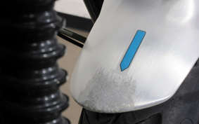 BMW R NINE T PURE 2021 0L61