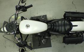 HARLEY XL883N 2017