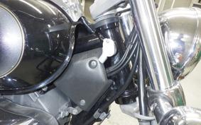 SUZUKI INTRUDER 250 LC 2024 VJ51A